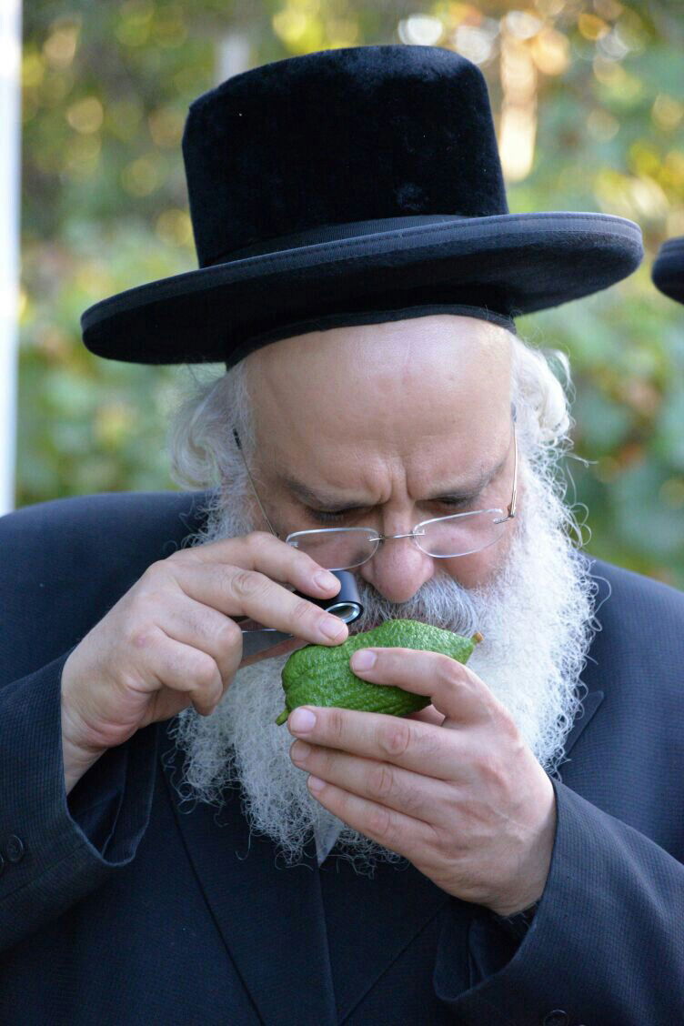 תיעוד: בבני ברק נערכים ליום הכיפורים, בכפר חב"ד לסוכות