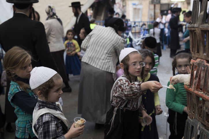 ילדים האכילו והשקו את תרנגולי הכפרות | תיעוד