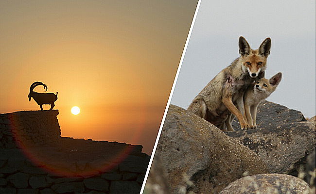 מרהיב: מכתש רמון דרך עדשת המצלמה