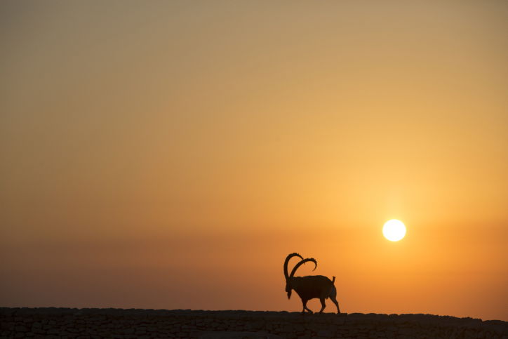 מרהיב: מכתש רמון דרך עדשת המצלמה