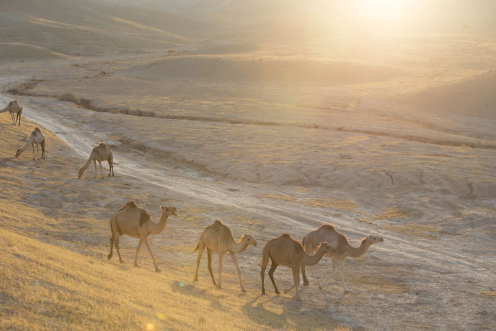 מרהיב: מכתש רמון דרך עדשת המצלמה