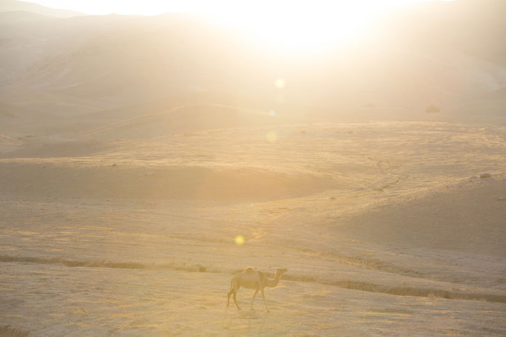 מרהיב: מכתש רמון דרך עדשת המצלמה