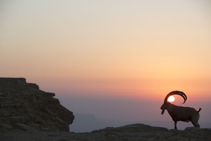 מרהיב: מכתש רמון דרך עדשת המצלמה