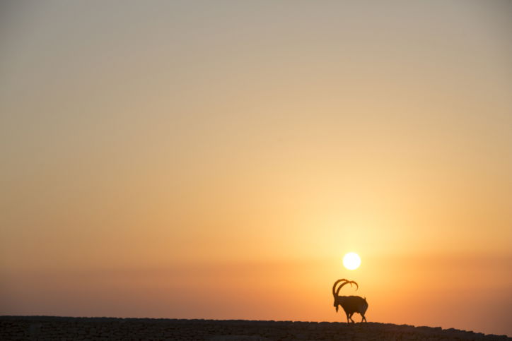 מרהיב: מכתש רמון דרך עדשת המצלמה