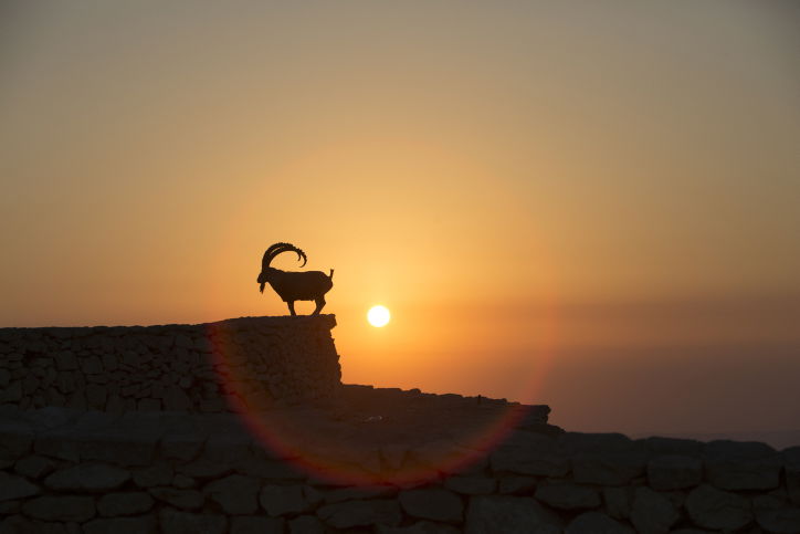 מרהיב: מכתש רמון דרך עדשת המצלמה