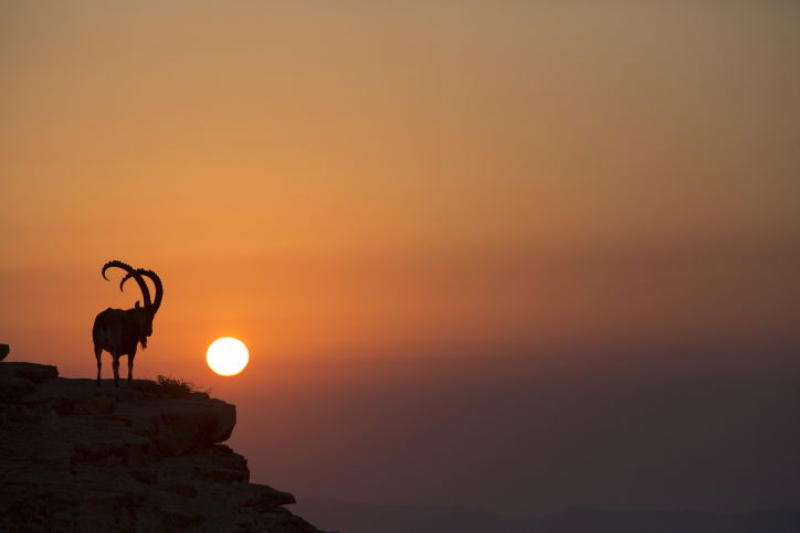 מרהיב: מכתש רמון דרך עדשת המצלמה