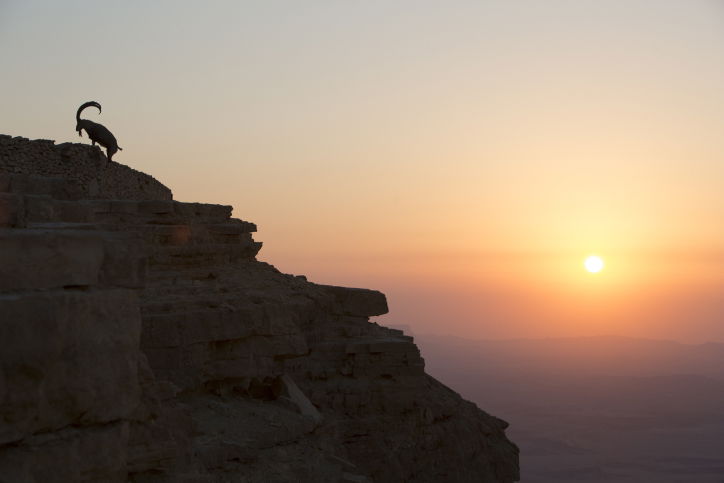 מרהיב: מכתש רמון דרך עדשת המצלמה