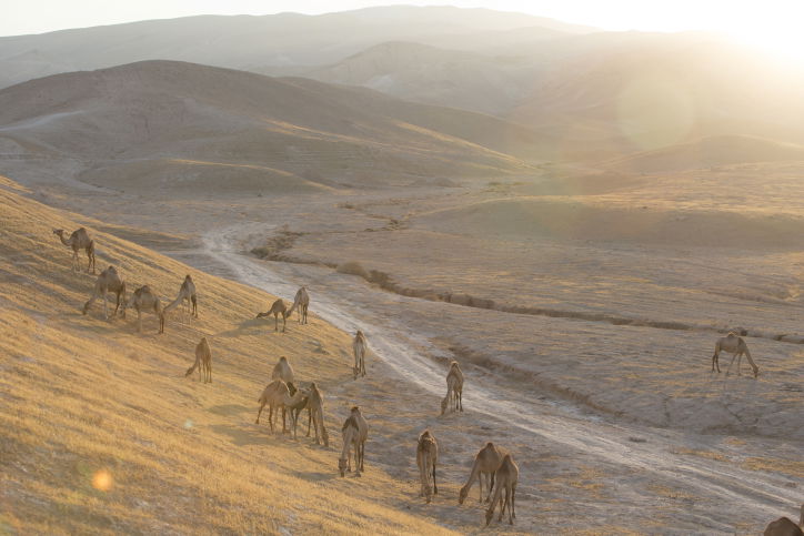 מרהיב: מכתש רמון דרך עדשת המצלמה