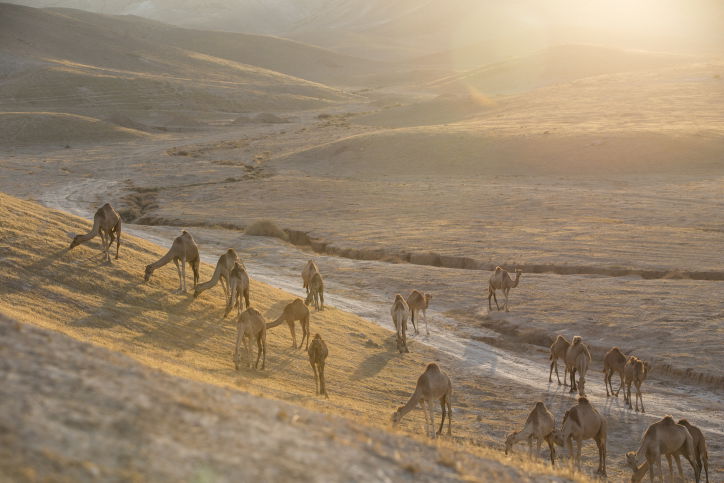 מרהיב: מכתש רמון דרך עדשת המצלמה