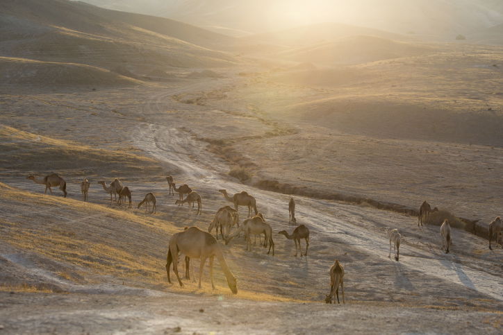 מרהיב: מכתש רמון דרך עדשת המצלמה