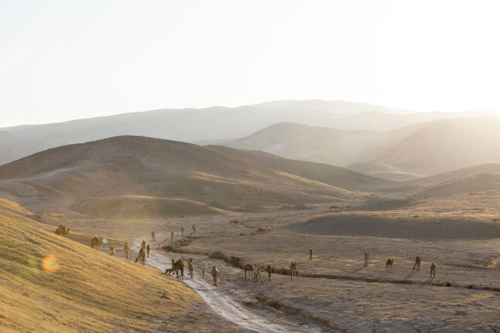 מרהיב: מכתש רמון דרך עדשת המצלמה