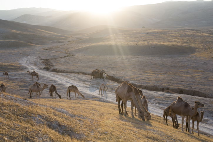 מרהיב: מכתש רמון דרך עדשת המצלמה