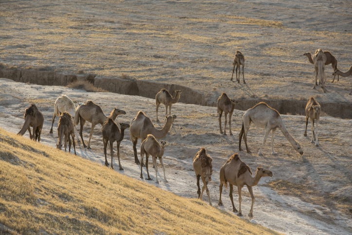 מרהיב: מכתש רמון דרך עדשת המצלמה