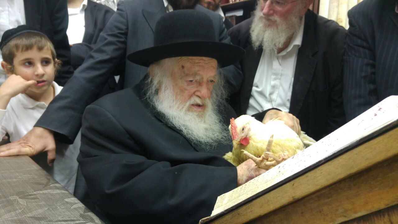 צפו: תרנגול הכפרות של מרן הגר"ח קנייבסקי