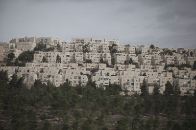 החרדים נגד 'מחיר למשתכן' ברמת שלמה