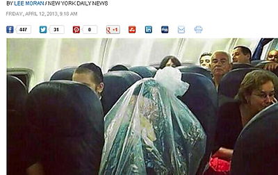 כהן בנילונים