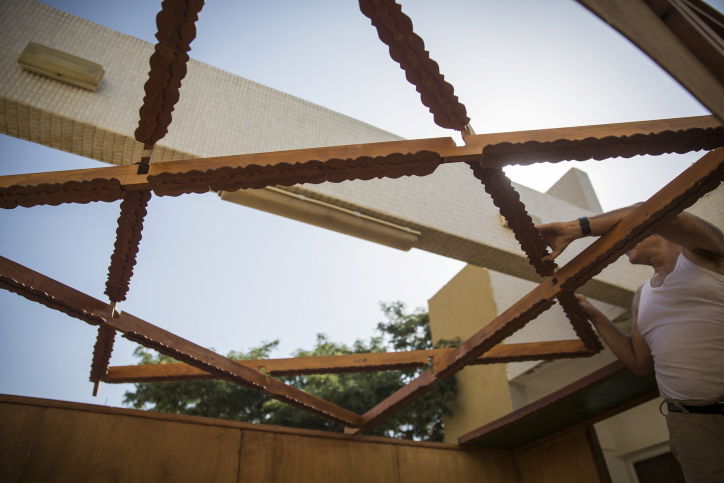 הסוכה המרהיבה של מאיר פרוש | גלריה