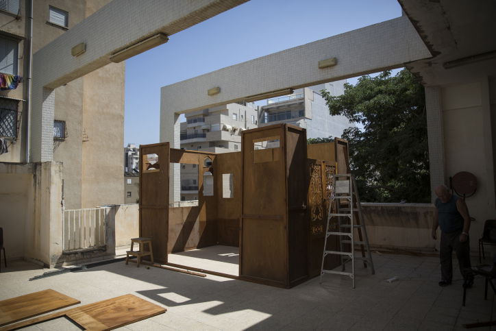 הסוכה המרהיבה של מאיר פרוש | גלריה