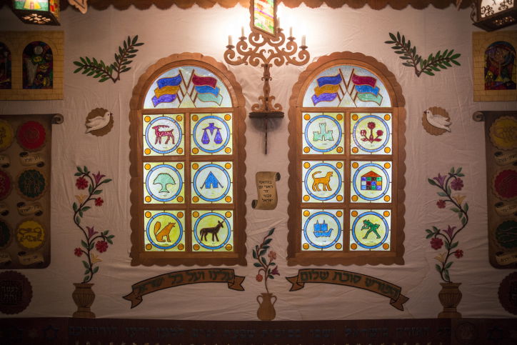 הסוכה המרהיבה של מאיר פרוש | גלריה