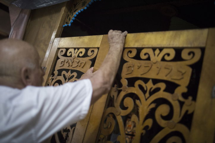 הסוכה המרהיבה של מאיר פרוש | גלריה