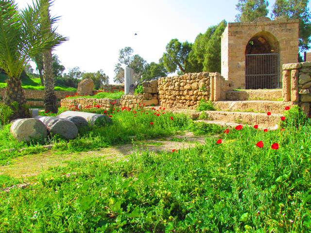 בארות אנטיליה מהעיר הקדומה אשקלון.