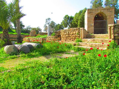 בארות אנטיליה מהעיר הקדומה אשקלון.