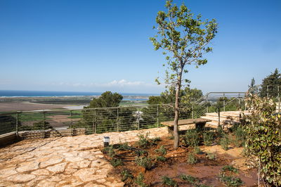 תביעות הדדיות על מגרש בזיכרון יעקב. אילוסטרציה