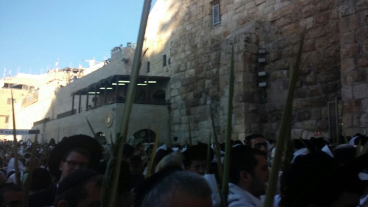 אלפי מתפללים וותיקין בכותל המערבי • צפו