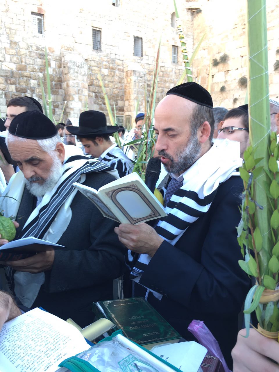 יעקב שוואקי מתחזן בכותל המערבי • צפו