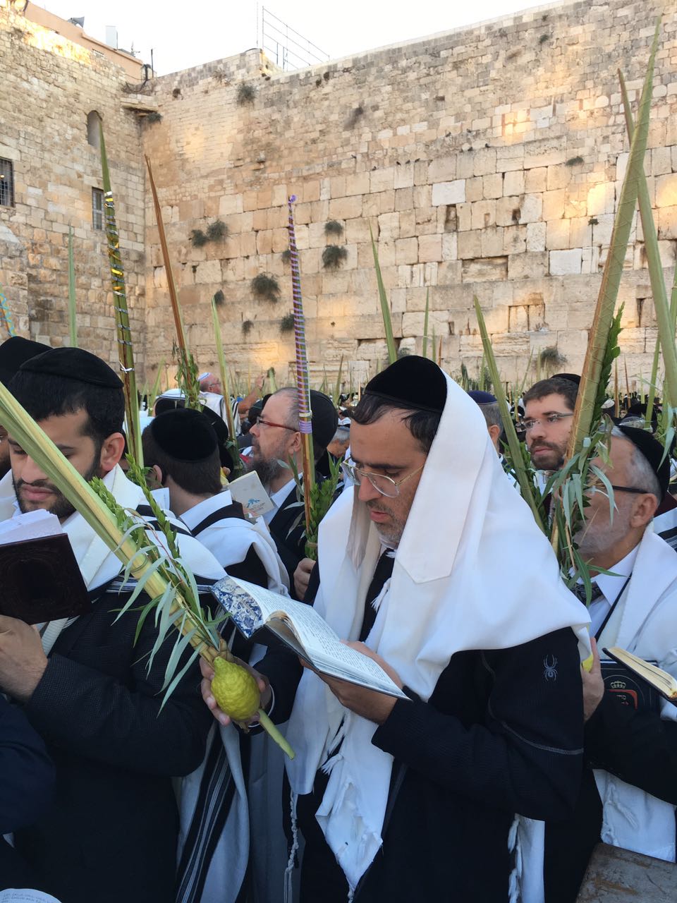 יעקב שוואקי מתחזן בכותל המערבי • צפו