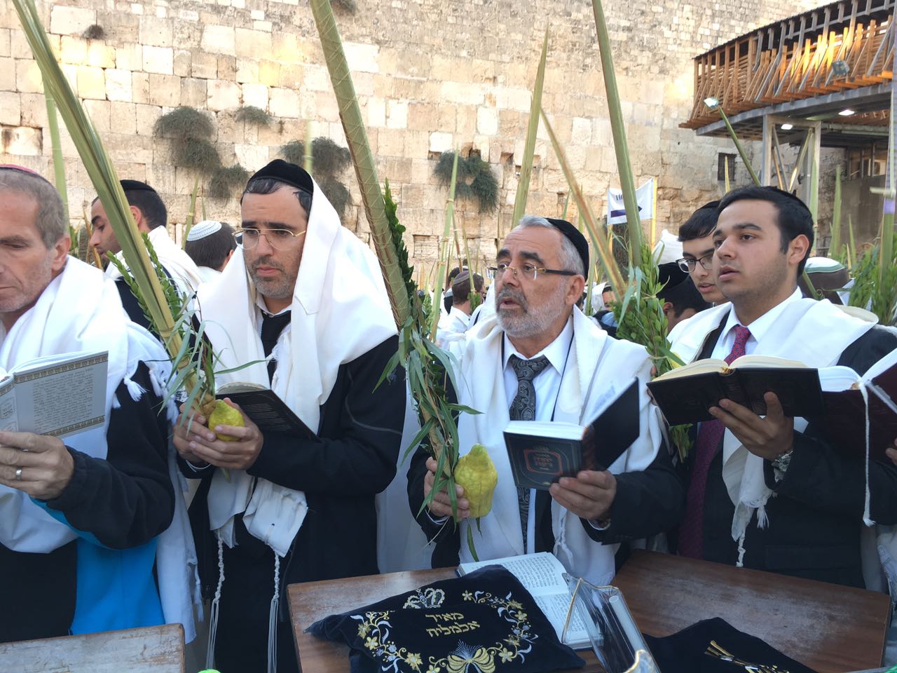 יעקב שוואקי מתחזן בכותל המערבי • צפו