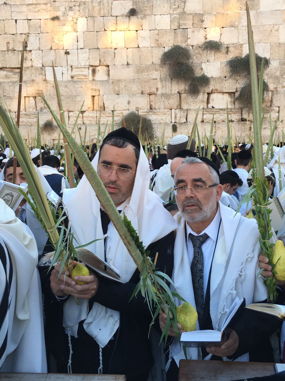 יעקב שוואקי מתחזן בכותל המערבי • צפו