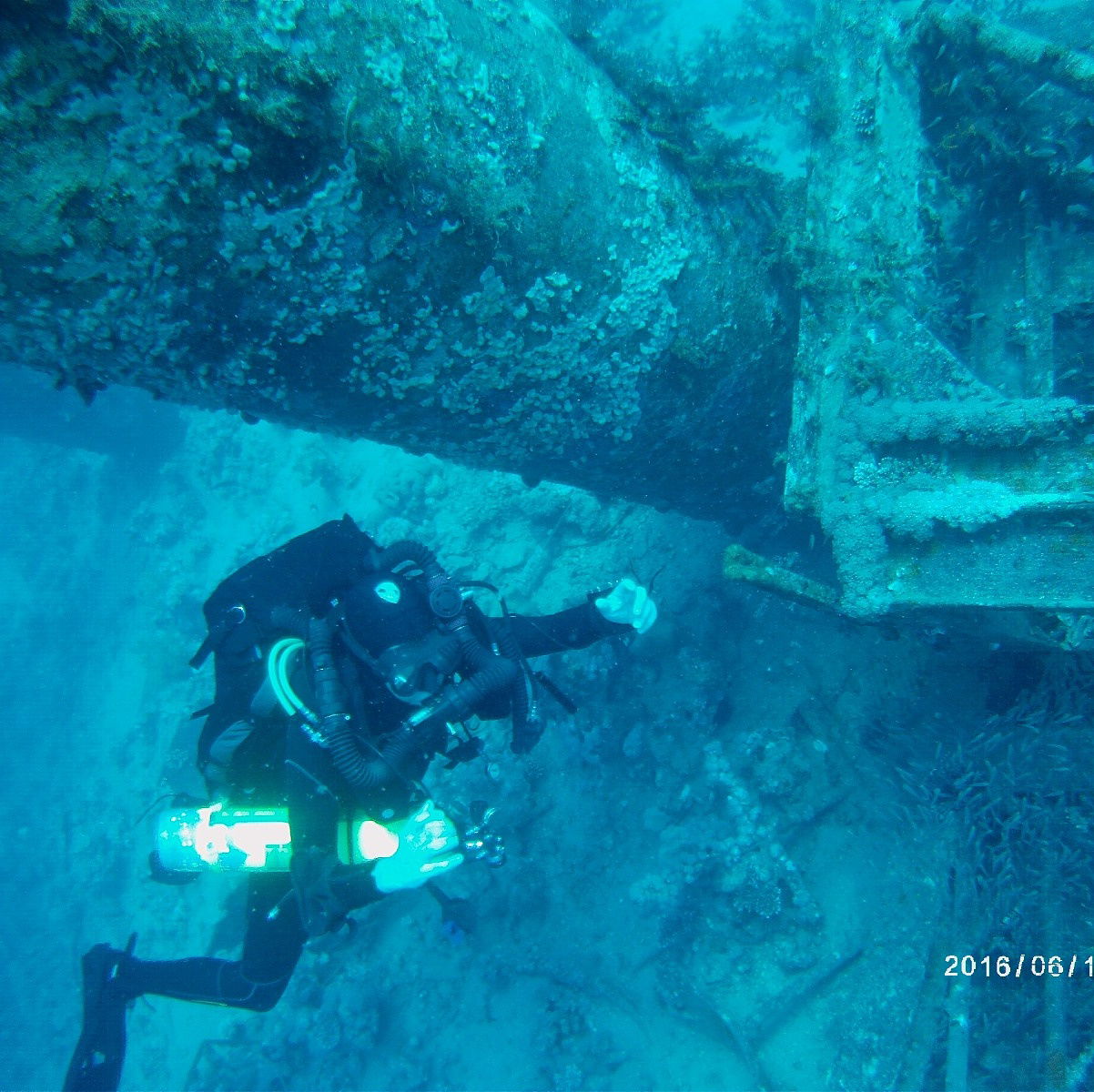 שונית האלמוגים באילת דרך עדשת מצלמה
