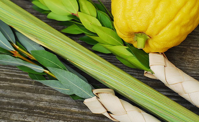 ארבעת המינים