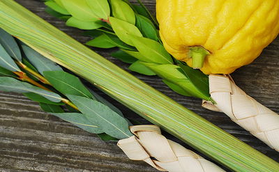 ארבעת המינים