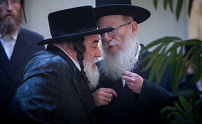 ליצמן והרבי מויז'ניץ. ארכיון