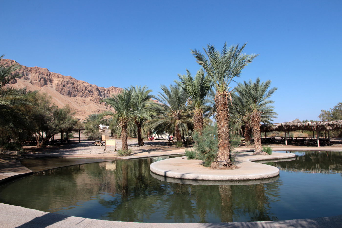 ברכות למרגלות צוקים בנווה מדבר הנמוך בעולם. עינות צוקים