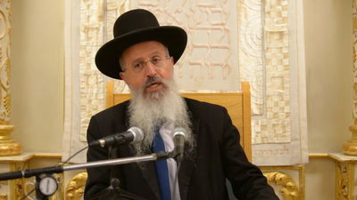 הגר"א יוסף: הדיבורים על הילולה לאבא - בושה וחוצפה