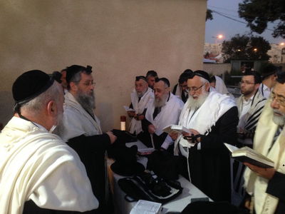 צפו במשפחתו של מרן זצוק"ל עולה לקברו