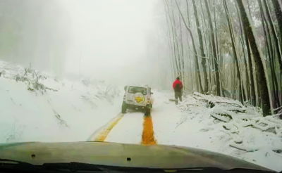 אאוץ': שכח את הבלמים, הידרדר והפך לסנסציית רשת