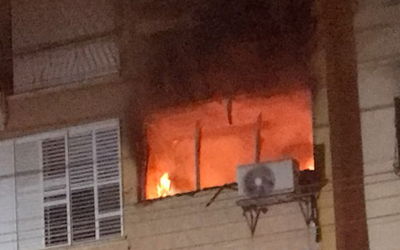 הכוחות בזירה