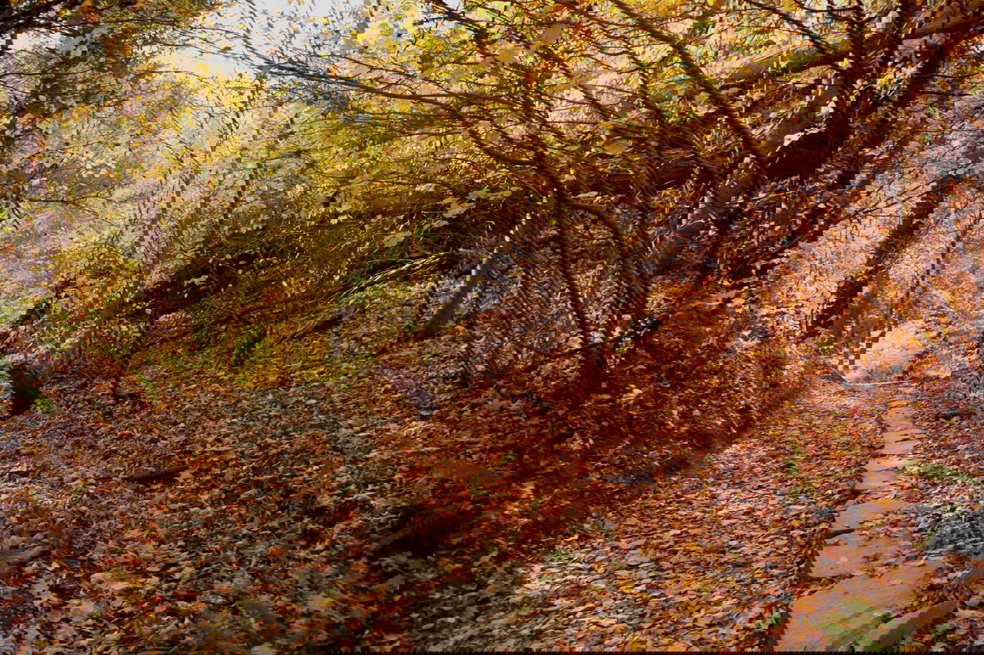 הרי הפוקונוס המרהיבים דרך עדשת מצלמה