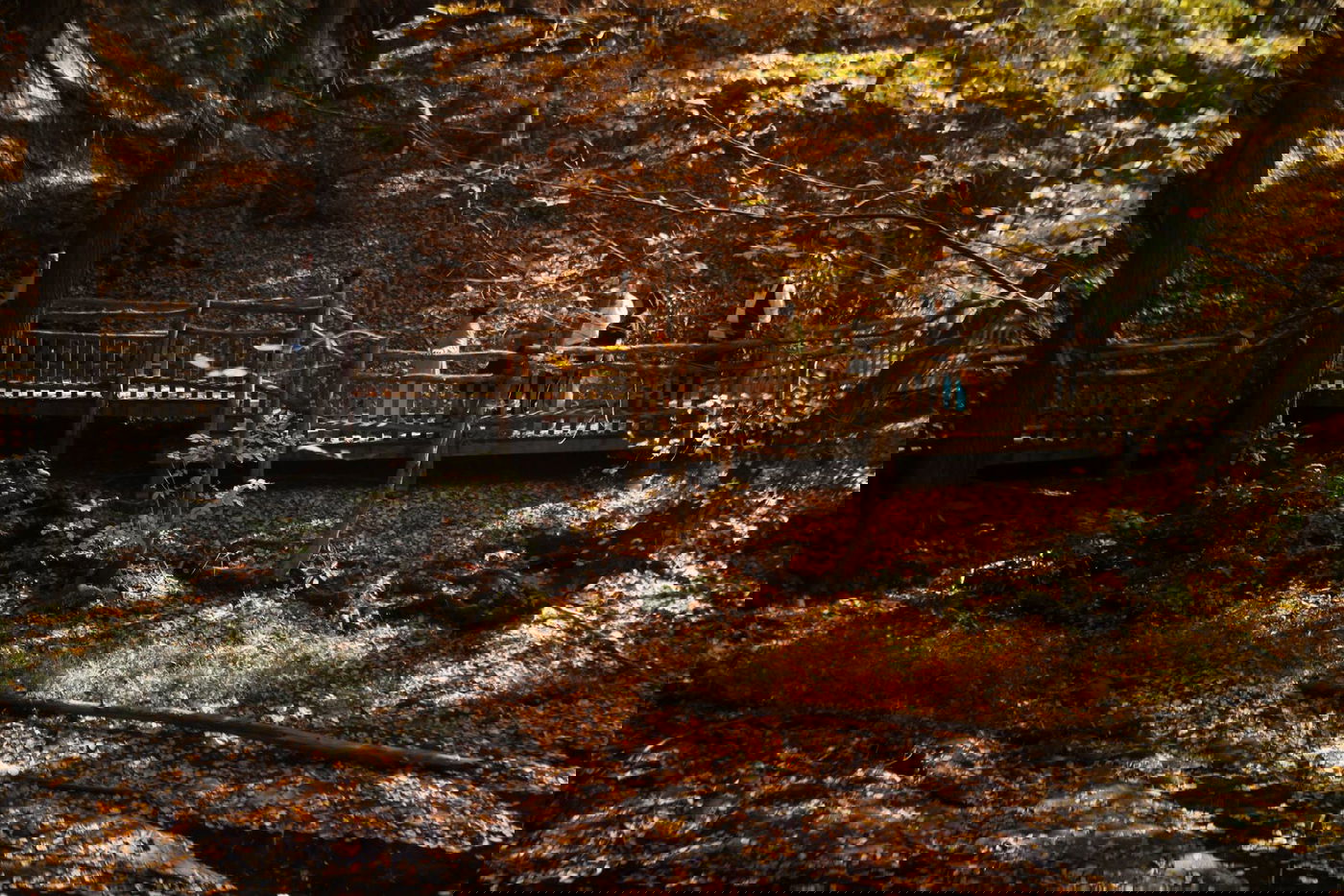 הרי הפוקונוס המרהיבים דרך עדשת מצלמה