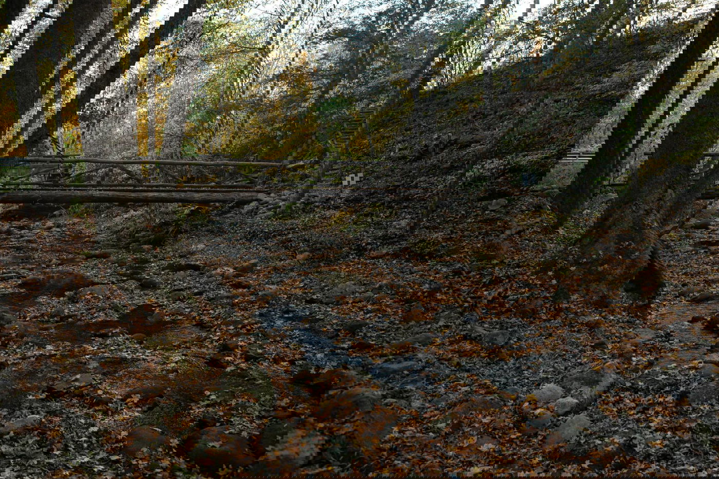 הרי הפוקונוס המרהיבים דרך עדשת מצלמה