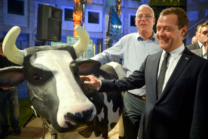 "לפרה אין ג'ויסטיק", אריאל ומדבדב