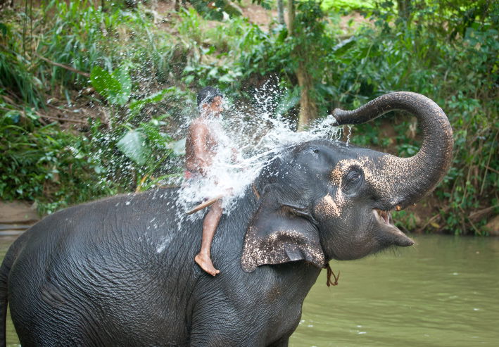 תיעוד מרהיב: סרי לנקה האסייתית