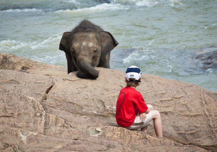 תיעוד מרהיב: סרי לנקה האסייתית