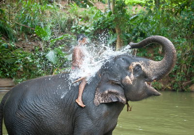 תיעוד מרהיב: סרי לנקה האסייתית