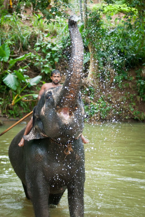 תיעוד מרהיב: סרי לנקה האסייתית