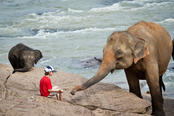 תיעוד מרהיב: סרי לנקה האסייתית